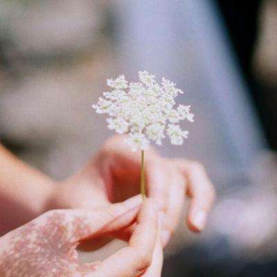 爱游戏网页版官方入口